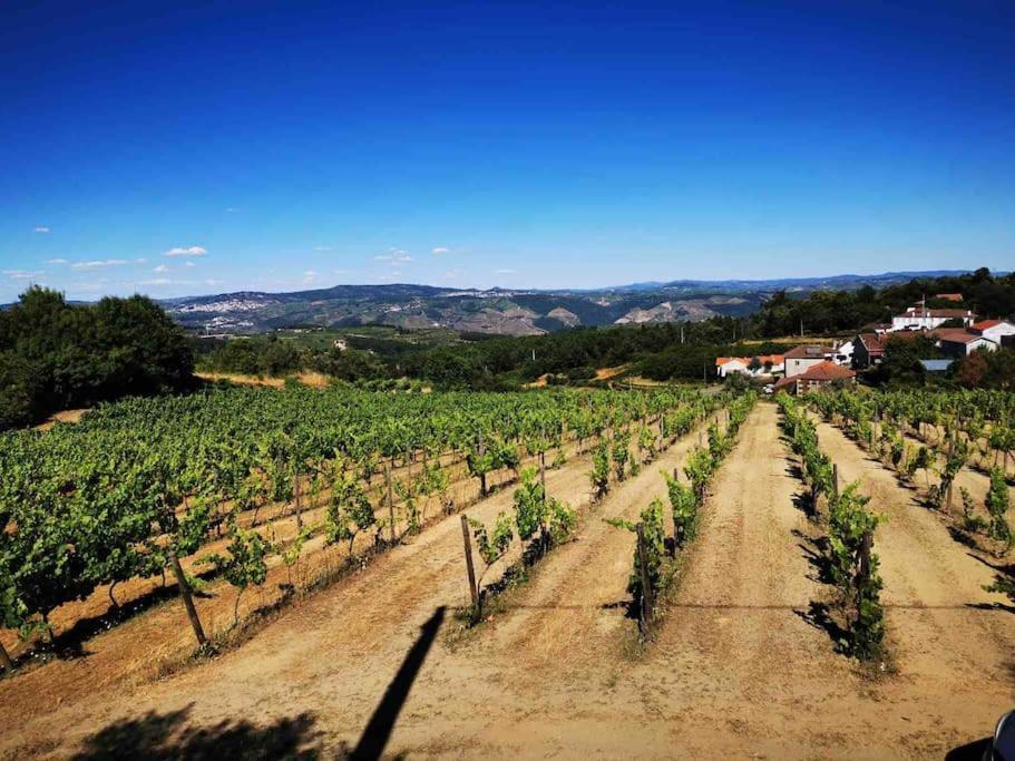 Quinta Da Eira Douro Valley Fermentoes  Extérieur photo