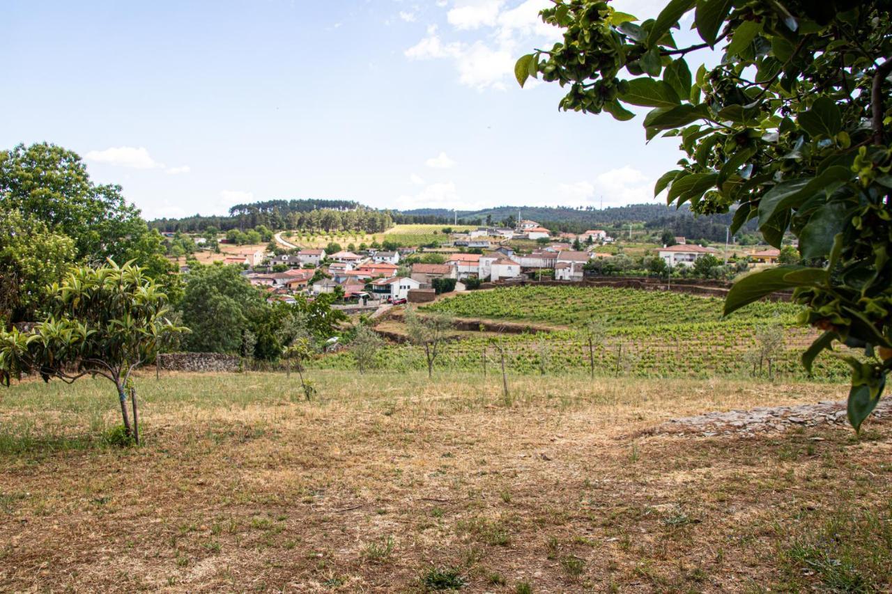 Quinta Da Eira Douro Valley Fermentoes  Extérieur photo