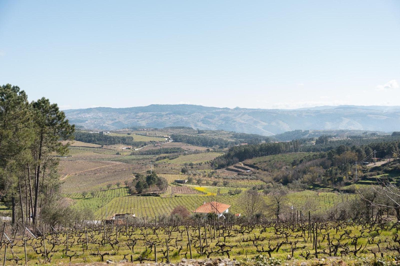 Quinta Da Eira Douro Valley Fermentoes  Extérieur photo